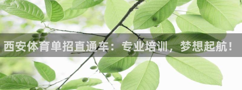 极悦娱乐官网入口下载：西安体育单招直通车：专业培训，