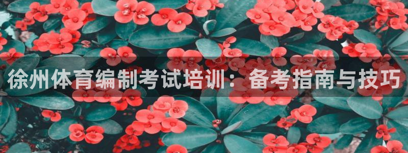 极悦娱乐现在叫什么：徐州体育编制考试培训：备考指南与