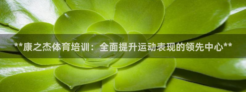 极悦平台注册用户名格式：**康之杰体育培训：全面提升