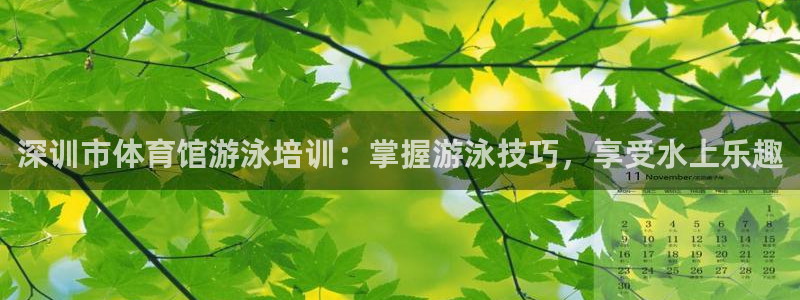极悦官网旗舰店：深训市体育馆游泳培训：掌握游泳技巧，