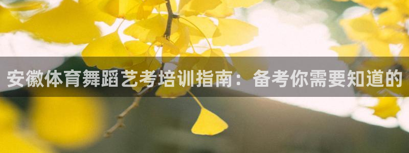 极悦平台注册流程图片：安徽体育舞蹈艺考培训指南：备考
