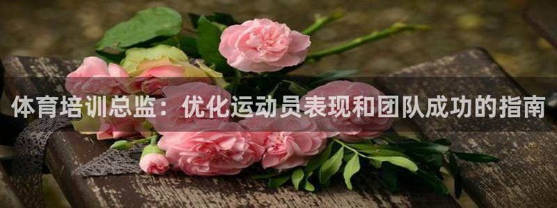 极悦平台非7O777：体育培训总监：优化运动员表现和