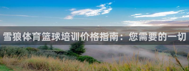 极悦平台安全吗可信吗：雪狼体育篮球培训价格指南：您需