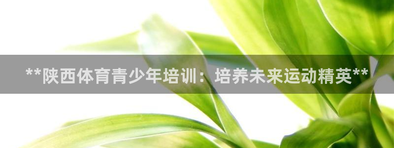 苏州极悦信息科技有限公司：**陕西体育青少年培训：培