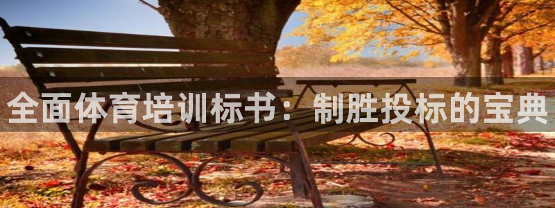 极悦平台注册用户名验证不了：全面体育培训标书：制胜投