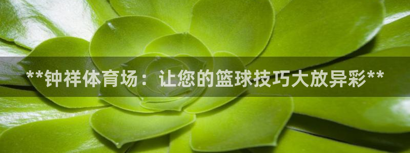 极悦官网旗舰店是正品吗：**钟祥体育场：让您的篮球技