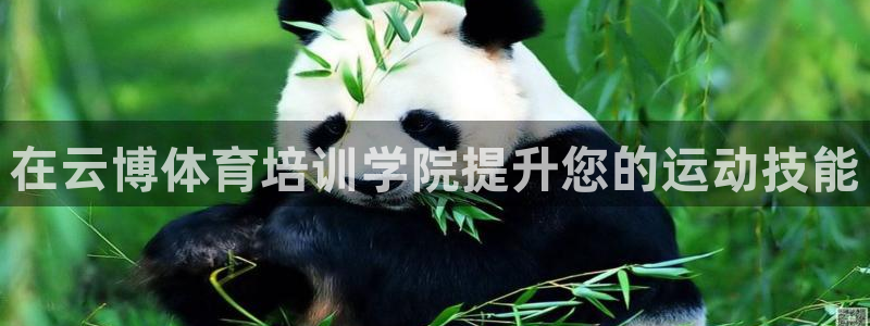 极悦平台官网登录最新版本更新内容介绍：在云博体育培训