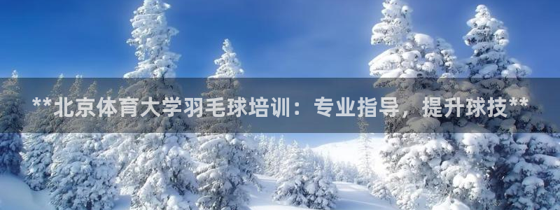 极悦平台平台注册方法与步骤是什么：**北京体育大学羽