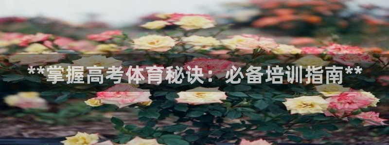 极悦平台注册官方网站下载安卓手机：**掌握高考体育秘