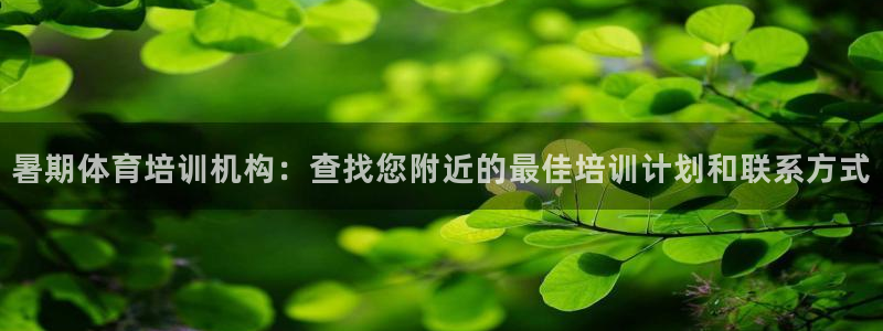 极悦平台注册申请流程详解图：暑期体育培训机构：查找您