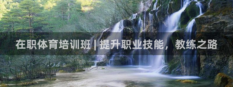 极悦平台注册用户名生成器是什么：在职体育培训班 | 