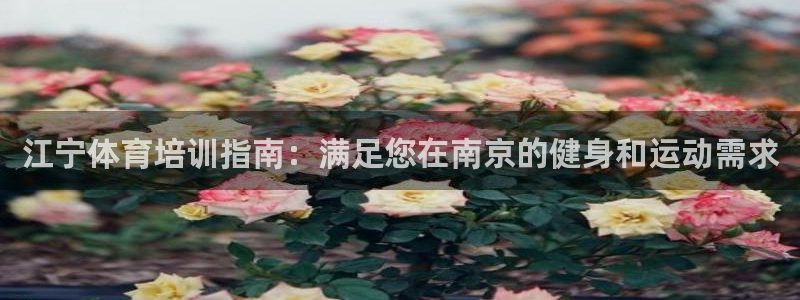 极悦平台注册和登录页面在哪：江宁体育培训指南：满足您