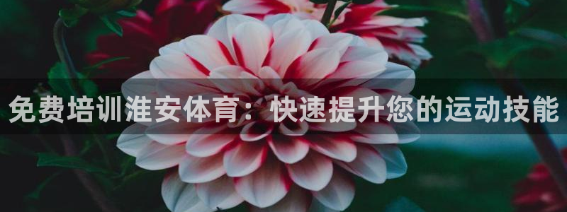 极悦平台注册官方网站下载安装苹果：免费培训淮安体育：