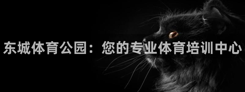 极悦平台平台注册方法与步骤是什么：东城体育公园：您的