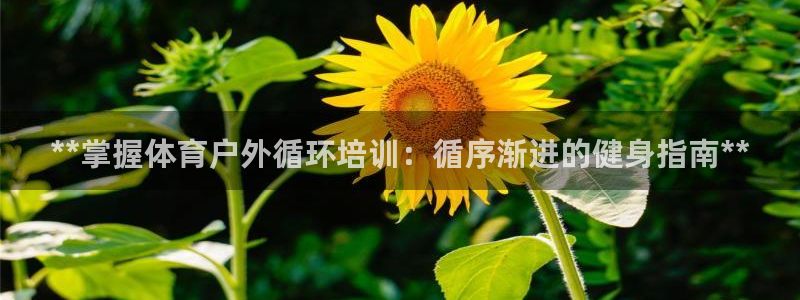 极悦牙膏怎么样好不好：**掌握体育户外循环培训：循序