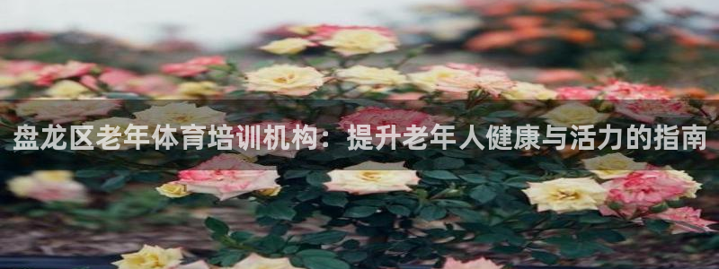 极悦平台注册官方网站下载安卓版：盘龙区老年体育培训机