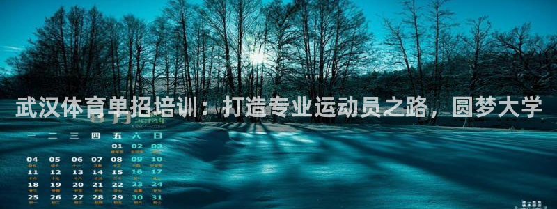 极悦官网入口登录网址：武汉体育单招培训：打造专业运动