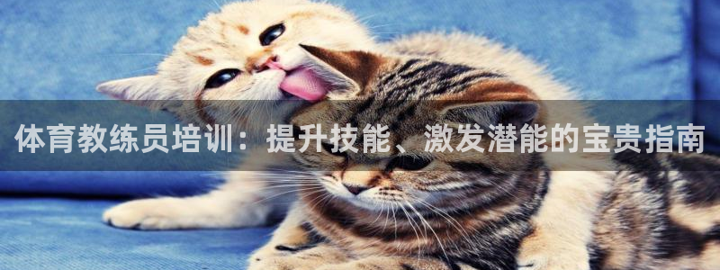 极悦平台代理怎么做：体育教练员培训：提升技能、激发潜