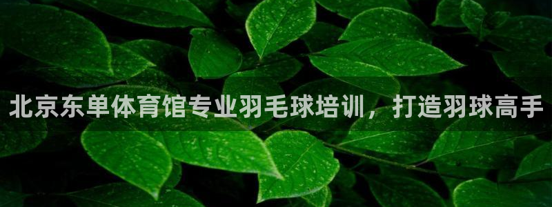 极悦平台代理怎么做的：北京东单体育馆专业羽毛球培训，