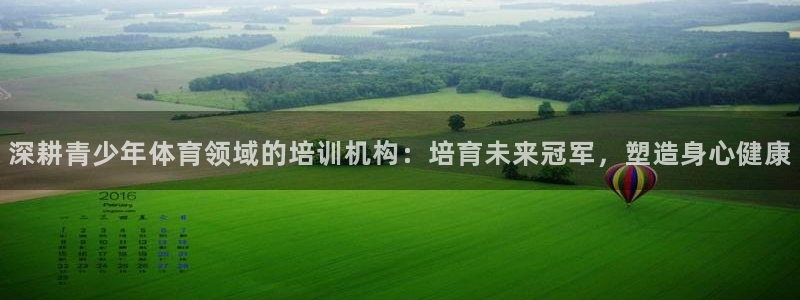 极悦官方网站app下载安卓：深耕青少年体育领域的培训