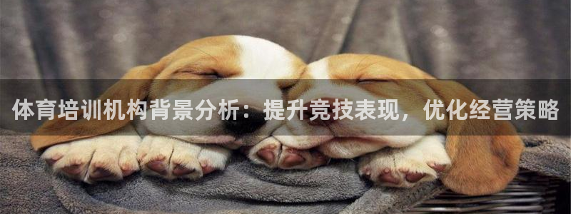 极悦平台官方网址是什么：体育培训机构背景分析：提升竞
