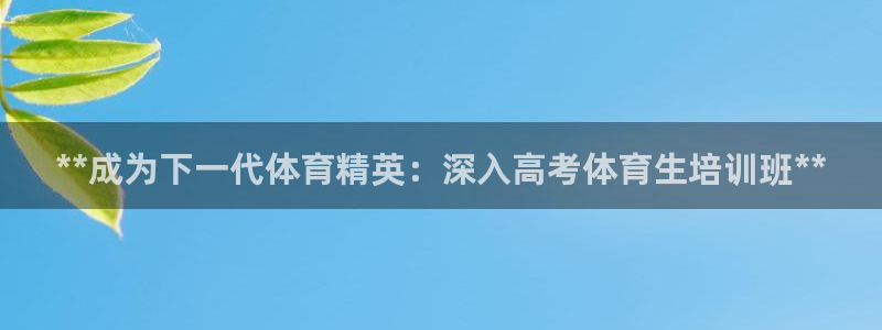 加盟极悦教育怎么样：**成为下一代体育精英：深入高考