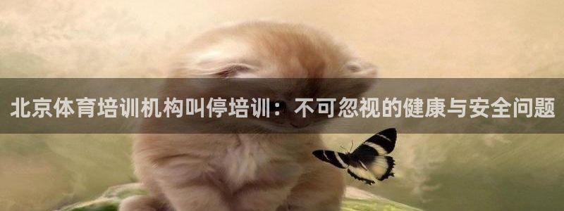 极悦平台登录入口注册账号：北京体育培训机构叫停培训：