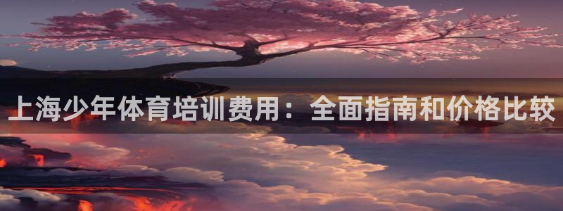 极悦官方网站入口网址是多少：上海少年体育培训费用：全