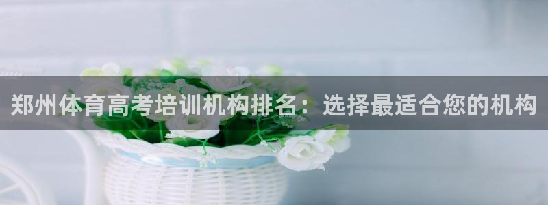 极悦平台使用注意事项是什么：郑州体育高考培训机构排名