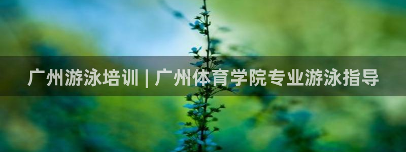 极悦平台官方网站下载安装：广州游泳培训 | 广州体育