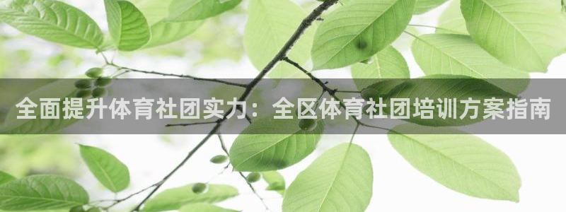 极悦官网的登录方法：全面提升体育社团实力：全区体育社