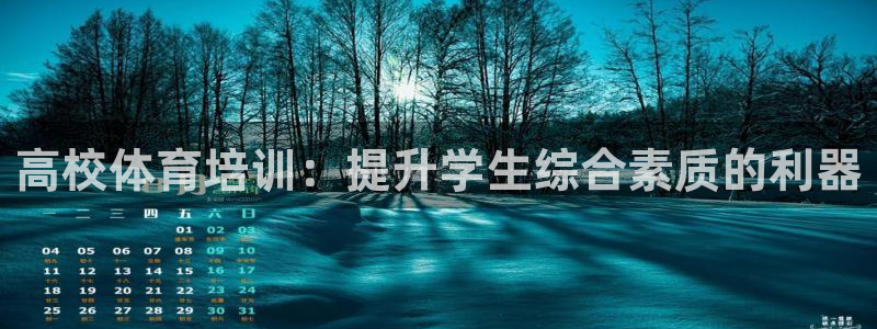 加盟极悦教育：高校体育培训：提升学生综合素质的利器