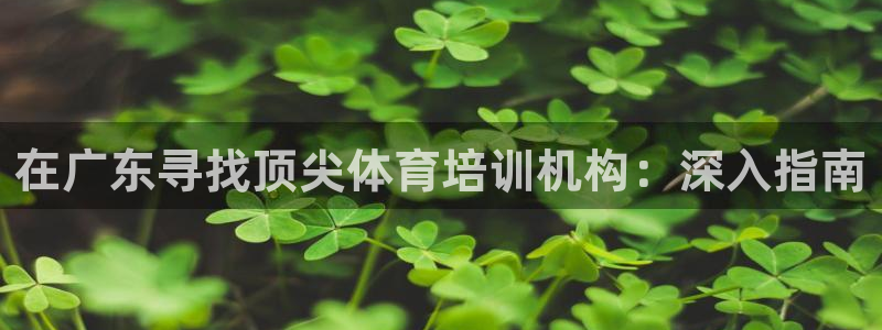 极悦娱乐的内部员工福利：在广东寻找顶尖体育培训机构：
