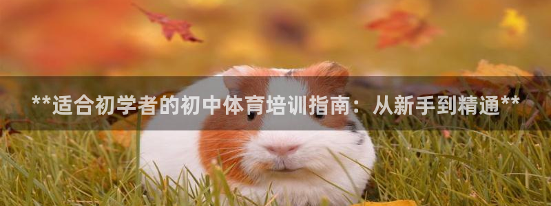 极悦娱乐的背景和历史背景是什么：**适合初学者的初中