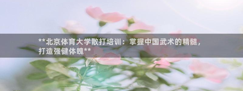 极悦是什么牌子空调：**北京体育大学散打培训：掌握中