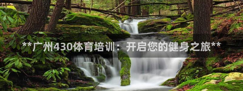 极悦是什么牌子空调的：**广州430体育培训：开启您