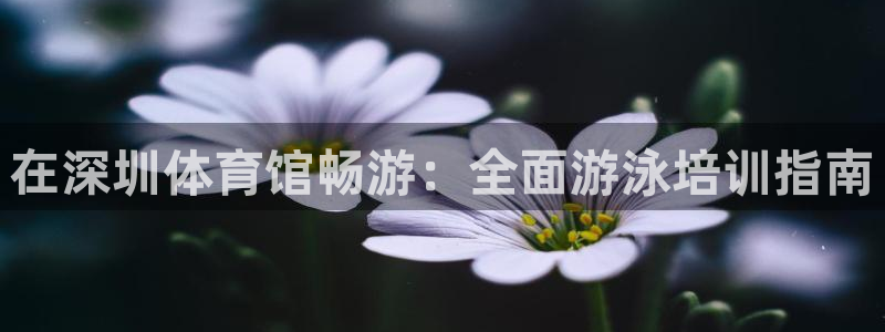极悦平台是正规平台吗知乎：在深圳体育馆畅游：全面游泳