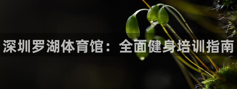 极悦平台注册的弊端及解决方法：深圳罗湖体育馆：全面健