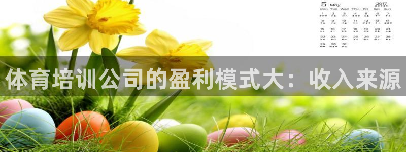 极悦娱乐代理人是谁啊：体育培训公司的盈利模式大：收入