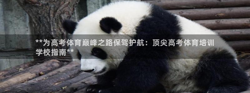 极悦娱乐会被骗吗是真的吗：**为高考体育巅峰之路保驾