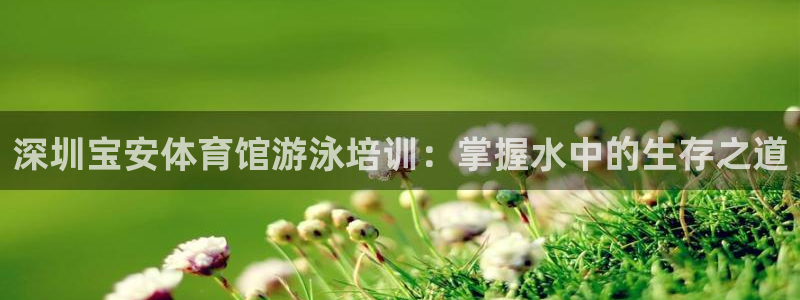 极悦平台注册登录不了：深圳宝安体育馆游泳培训：掌握水