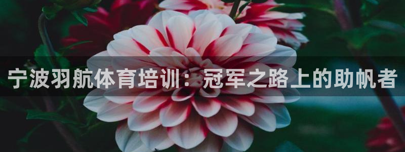 极悦官网首页登录入口网站：宁波羽航体育培训：冠军之路