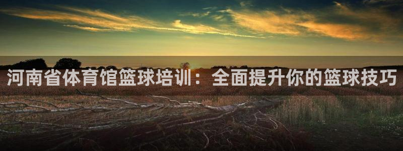 极悦平台很7O777：河南省体育馆篮球培训：全面提升