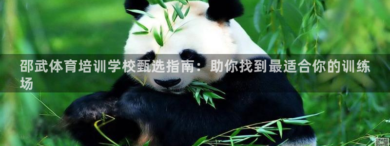 极悦娱乐管理最建议买吗：邵武体育培训学校甄选指南：助