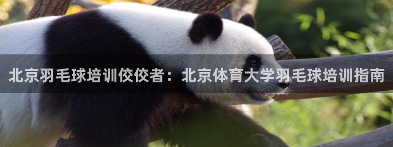 极悦娱乐挂机赚钱是真的吗知乎：北京羽毛球培训佼佼者：