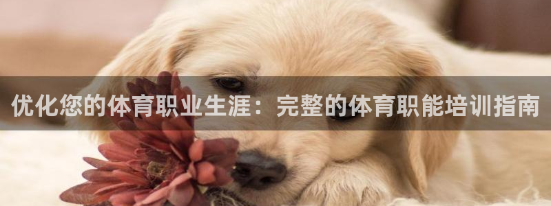 极悦娱乐的背景和历史背景是什么：优化您的体育职业生涯