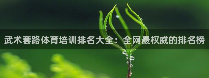 极悦平台注册官网网址：武术套路体育培训排名大全：全网
