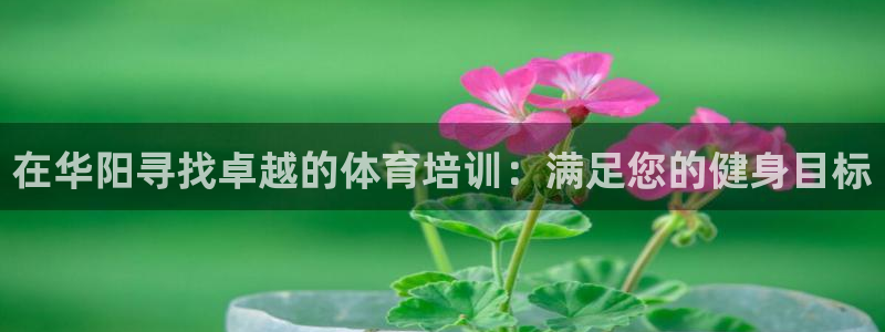 极悦娱乐代理多少钱：在华阳寻找卓越的体育培训：满足您