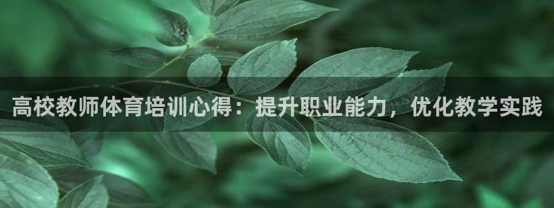 极悦平台登录最新版本更新内容怎么删除：高校教师体育培