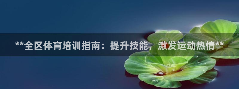 极悦平台用户反馈和反馈：**全区体育培训指南：提升技